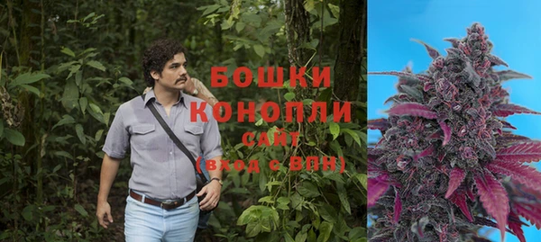 шишки Армянск