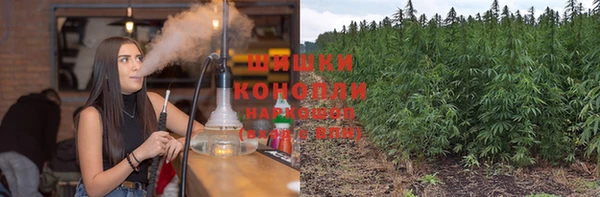 шишки Армянск